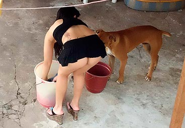 Flagras Reais de Vizinhas